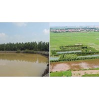 Hướng dẫn xác định tiền thuê đất, thuê mặt nước mới nhất