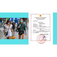 Are Foreigners Allowed to Work as Notaries in Vietnam?