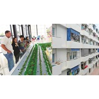 Is It Possible to Rent Out a Foreign-Owned Apartment in Vietnam?