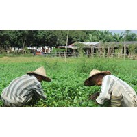 Dịch vụ Luật sư bào chữa xin hưởng án treo tại Thanh Hoá