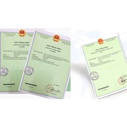 Thủ tục cấp lại giấy chứng nhận đăng ký nhãn hiệu bị mất