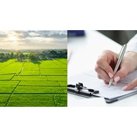 Thẩm quyền giải quyết khiếu nại về đất đai theo quy định