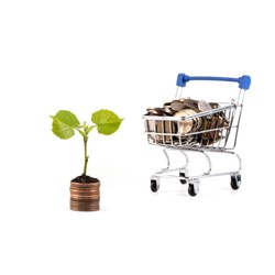 Thời điểm xác định giá đất bồi thường khi thu hồi đất