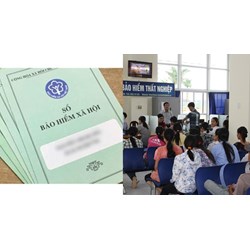 Tổng hợp các mức phạt hành chính về BHXH, BHTN mới nhất