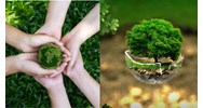 Vai trò và phương pháp đánh giá tác động môi trường (ĐMT)