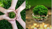 Vai trò và phương pháp đánh giá tác động môi trường (ĐMT)