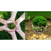 Vai trò và phương pháp đánh giá tác động môi trường (ĐMT)