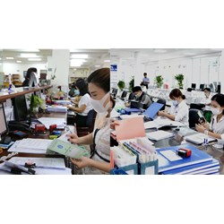 Luật Cán bộ công chức mới nhất và Các nghị định, thông tư hướng dẫn