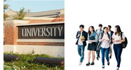 Trường đại học có phải là thương nhân hay không?