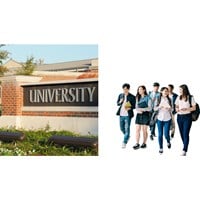Trường đại học có phải là thương nhân hay không?