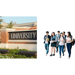 Trường đại học có phải là thương nhân hay không?