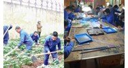 Quy định về hủy quyết định cai nghiện bắt buộc mới nhất
