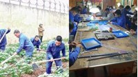 Quy định về hủy quyết định cai nghiện bắt buộc mới nhất
