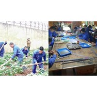 Quy định về hủy quyết định cai nghiện bắt buộc mới nhất