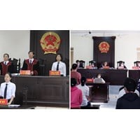 Người tham gia tố tụng bao gồm những ai?