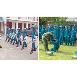 Nhiệm vụ của dân quân thường trực theo quy định mới nhất