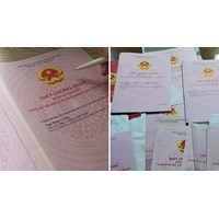 Người 2 quốc tịch có được đứng tên sổ đỏ, sổ hồng không?