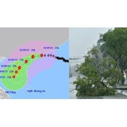 Toàn bộ sao kê ủng hộ mặt trận tổ quốc Tải file PDF ủng hộ đồng bào miền Bắc