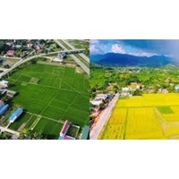 Có nhà trên đất khi tách thửa có buộc phải tháo dỡ không?