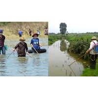Mức phạt dùng xung điện, kích điện đánh bắt cá, thủy sản