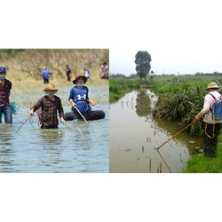 Mức phạt dùng xung điện, kích điện đánh bắt cá, thủy sản