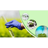 Mức xử phạt hành vi không thực hiện quan trắc môi trường