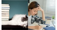 Viết bài luận thuyết phục người khác từ bỏ thói quen lười học hay nhất