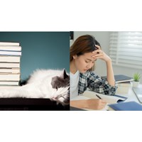 Viết bài luận thuyết phục người khác từ bỏ thói quen lười học hay nhất