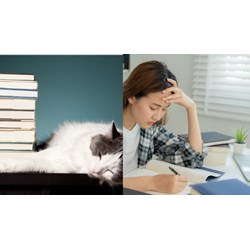 Viết bài luận thuyết phục người khác từ bỏ thói quen lười học hay nhất