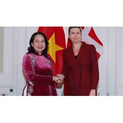 Tiêu chuẩn và số lượng Phó Chủ tịch nước hiện nay