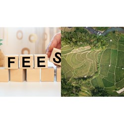 Đối tượng phải nộp tiền sử dụng đất theo Luật đất đai 2024