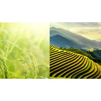 Đối tượng được giảm 90% tiền sử dụng đất trong hạn mức giao đất ở?