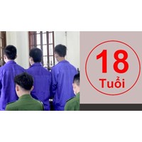 Trách nhiệm hình sự của người dưới 18 tuổi phạm tội
