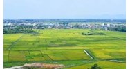Diện tích tối thiểu tách thửa đất ở tại Thanh Hóa mới nhất