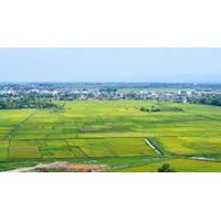 Diện tích tối thiểu tách thửa đất ở tại Thanh Hóa mới nhất