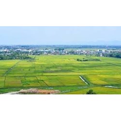 Diện tích tối thiểu tách thửa đất ở tại Thanh Hóa mới nhất