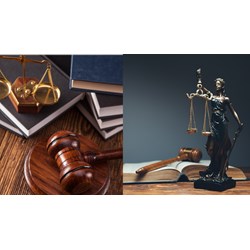 Tổ chức có bị truy cứu trách nhiệm hình sự không?