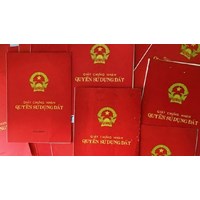 Kiện cấp sai Giấy chứng nhận quyền sử dụng đất làm thế nào?