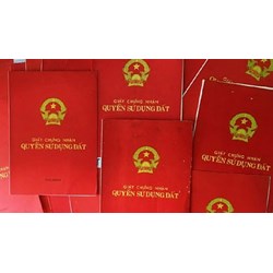 Kiện cấp sai Giấy chứng nhận quyền sử dụng đất làm thế nào?