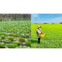 Đất nông nghiệp hết thời hạn sử dụng có được bán không?