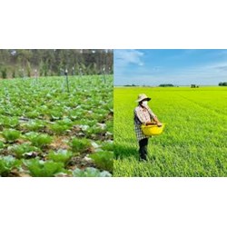 Đất nông nghiệp hết thời hạn sử dụng có được bán không?