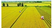Cách tính tiền thuê đất khi trả tiền thuê hàng năm từ 01/8/2024