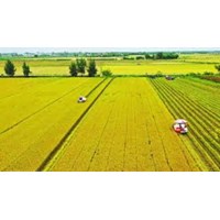 Cách tính tiền thuê đất khi trả tiền thuê hàng năm từ 01/8/2024