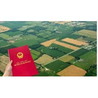 Bảng giá đền bù đất nông nghiệp tại Hà Nội năm 2024 mới nhất