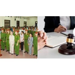 Dịch vụ Luật sư bào chữa trong các vụ án giết người