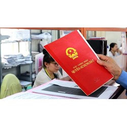 Dịch vụ xin cấp lại, cấp đổi sổ đỏ trọn gói tại TPHCM