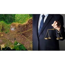 Dịch vụ Luật sư hỗ trợ tách thửa đất, hợp thửa đất trọn gói