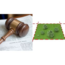 Dịch vụ cấp đổi, cấp lại Giấy chứng nhận quyền sử dụng đất