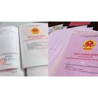 Quy định của điều 137 Luật Đất đai 2024 về cấp sổ đỏ