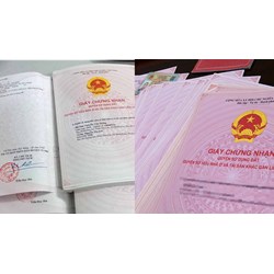 Quy định của điều 137 Luật Đất đai 2024 về cấp sổ đỏ